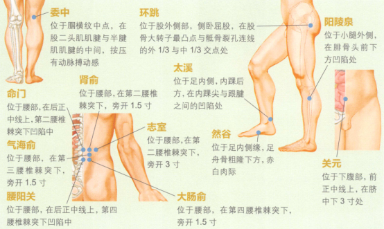 腰腿痛艾灸哪個部位圖解