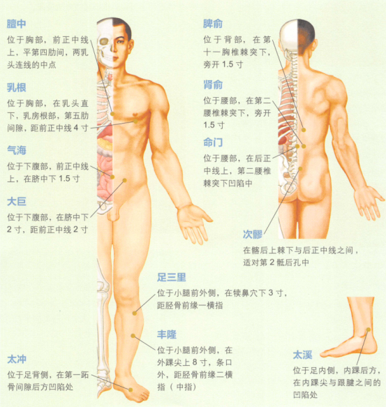 性冷淡艾灸哪個部位圖解