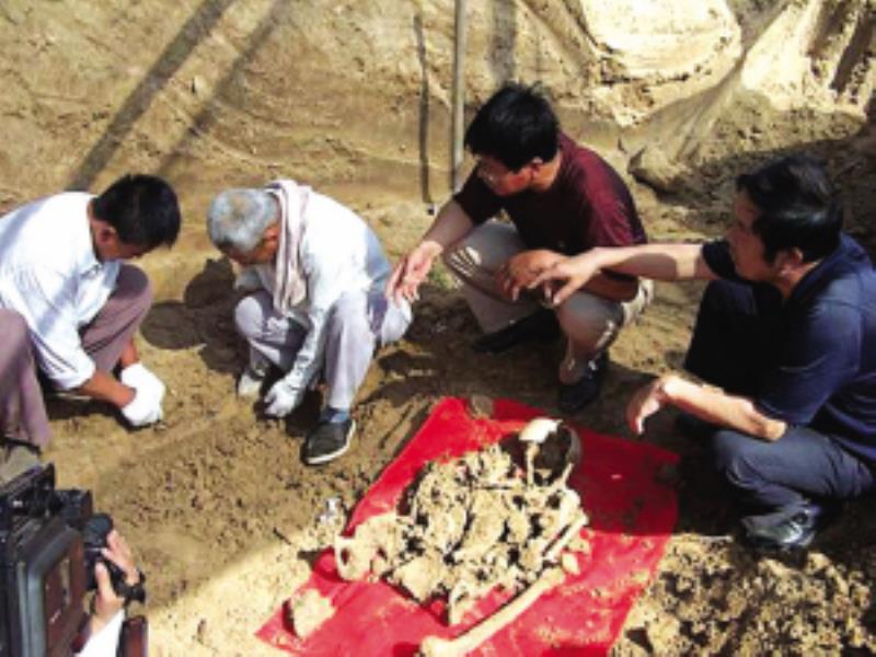 張之洞遭破壞遺骸再度出土