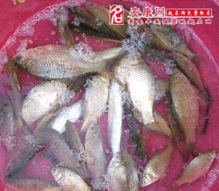 夢(mèng)見(jiàn)好多魚(yú)是怎么回事和現(xiàn)實(shí)有關(guān)系嗎 女人夢(mèng)見(jiàn)捉到好多魚(yú)