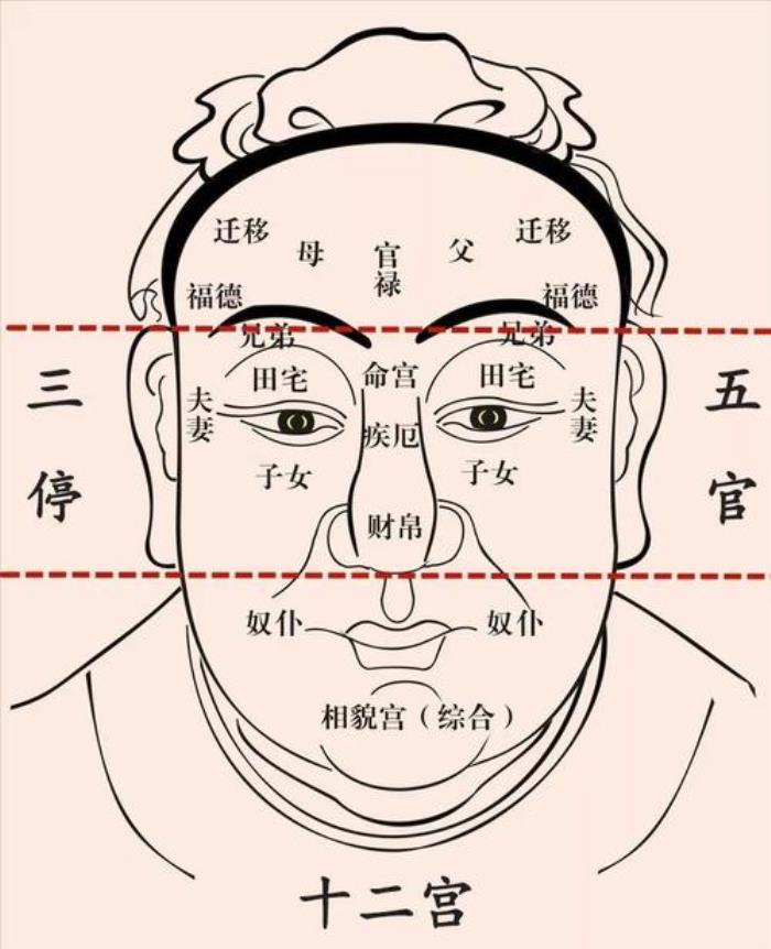 五官看相的口訣分享 認(rèn)識(shí)五官順口溜