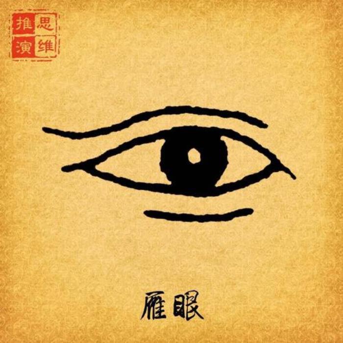 鵲眼的人運(yùn)氣如何 喜鵲眼相學(xué)