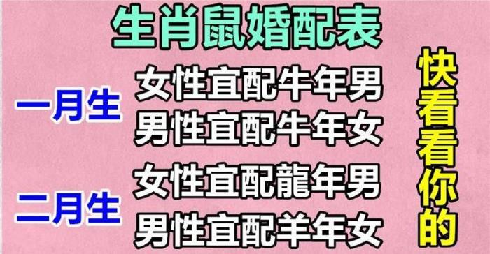 1972年屬什么生肖婚配 72年屬鼠的婚配表