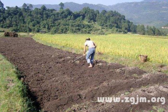 女人夢見自己挖地 已婚女人夢見自己挖土種菜