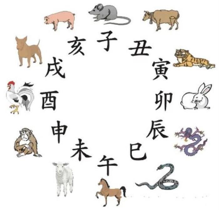 12生肖什么時(shí)辰出生最好 什么時(shí)辰出生的人命好