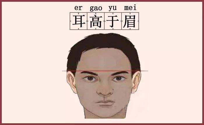 耳朵高過(guò)眉毛的人命運(yùn)如何 耳朵高于眉毛的面相