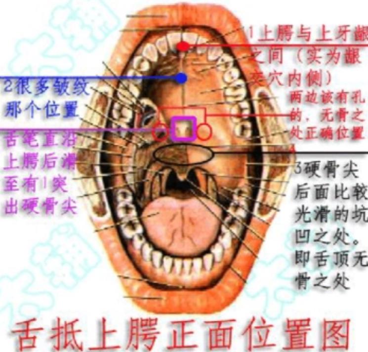 360截圖20240705121514.jpg