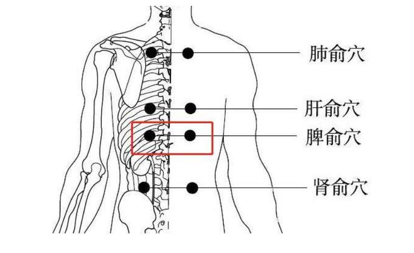 360截圖20240815153936.jpg