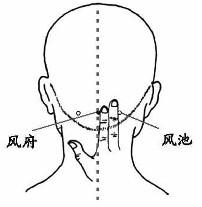 督脈穴位:風(fēng)府穴