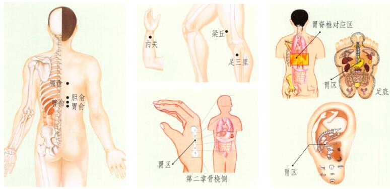 胃痙攣刮痧