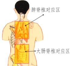 肺和大腸保健刮痧