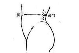 人體穴位圖 命門穴位置