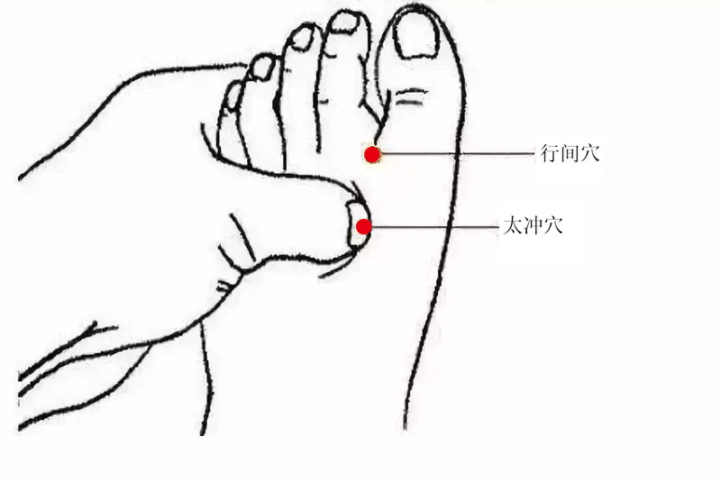 行間穴 太沖穴 人體穴位圖