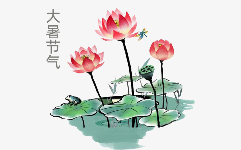 24節(jié)氣 大暑節(jié)氣