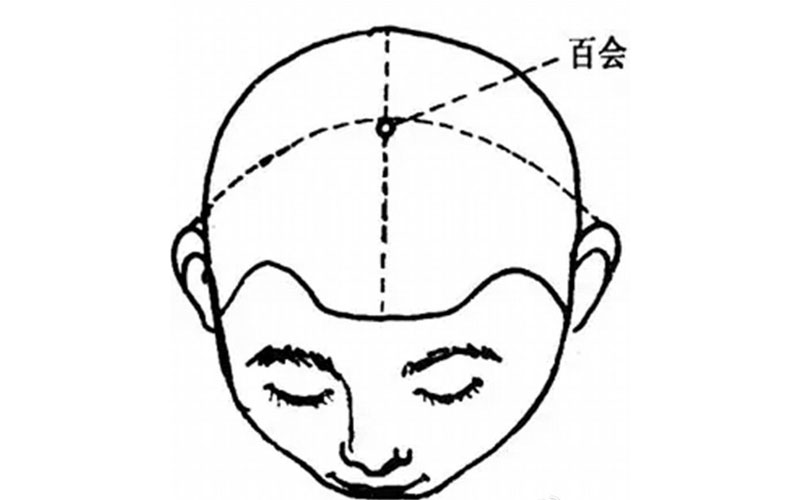 人體穴位圖 百會穴