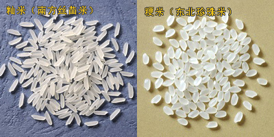 粳米 秈米區(qū)別