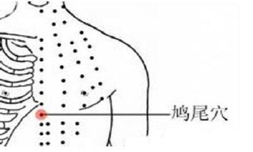 鳩尾穴 人體穴位圖