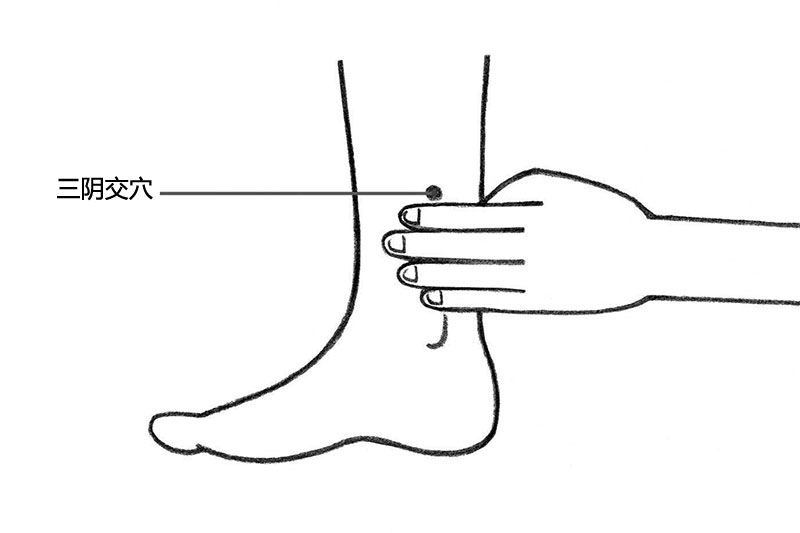 人體穴位圖 三陰交穴位置