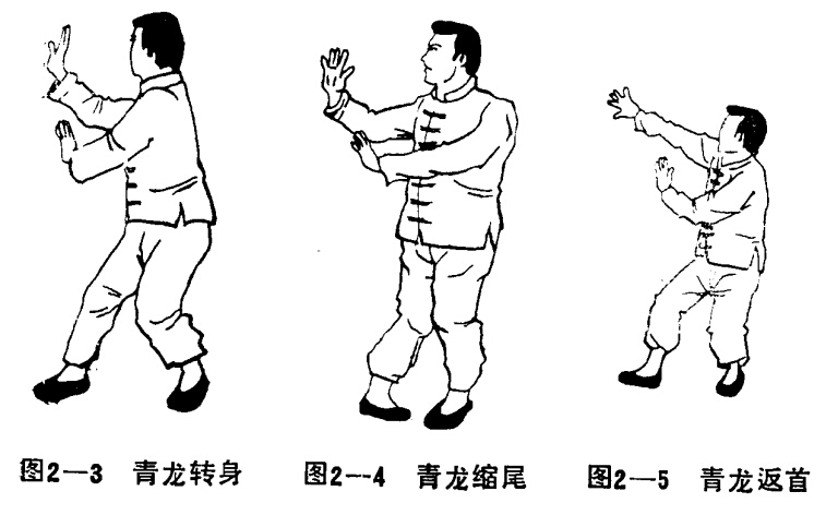 道家功法：仙道八卦拳