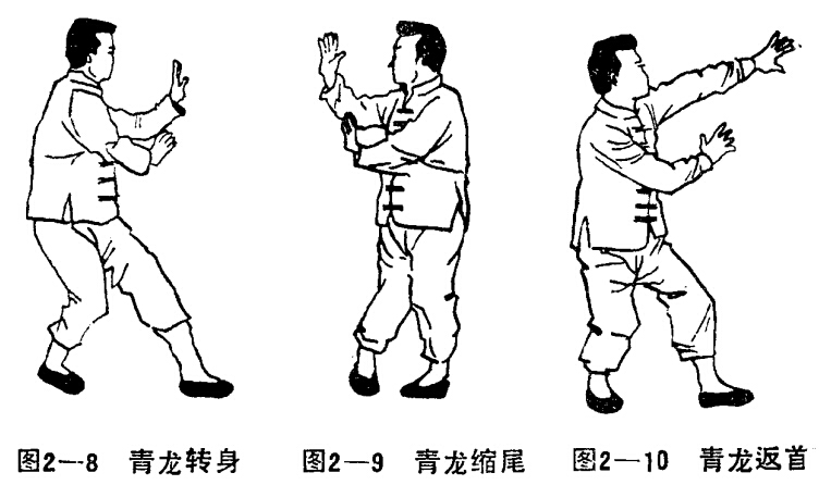 道家功法：仙道八卦拳