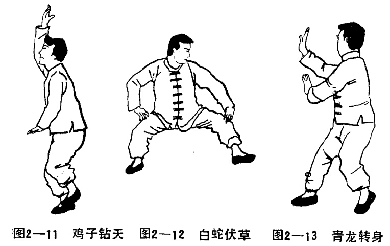 道家功法：仙道八卦拳