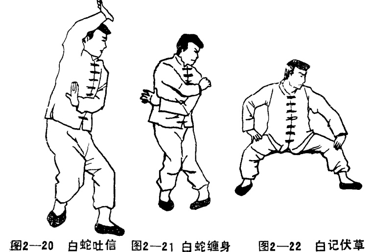 道家功法：仙道八卦拳