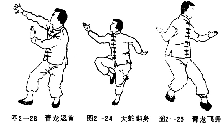 道家功法：仙道八卦拳