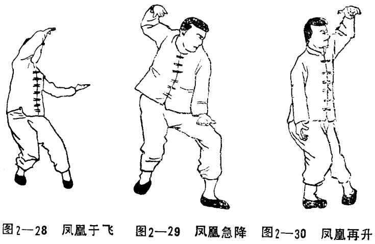 道家功法：仙道八卦拳